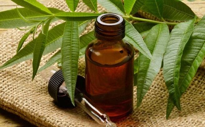 Aceite da árbore do té - un remedio popular para eliminar as verrugas do pene