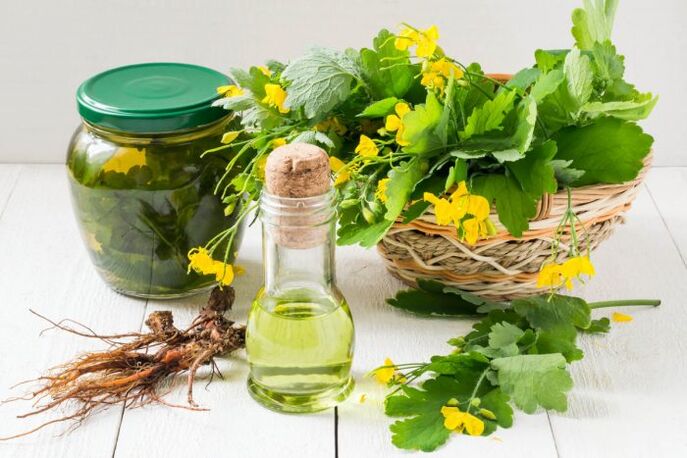 Remedios populares a base de celidonia para as verrugas